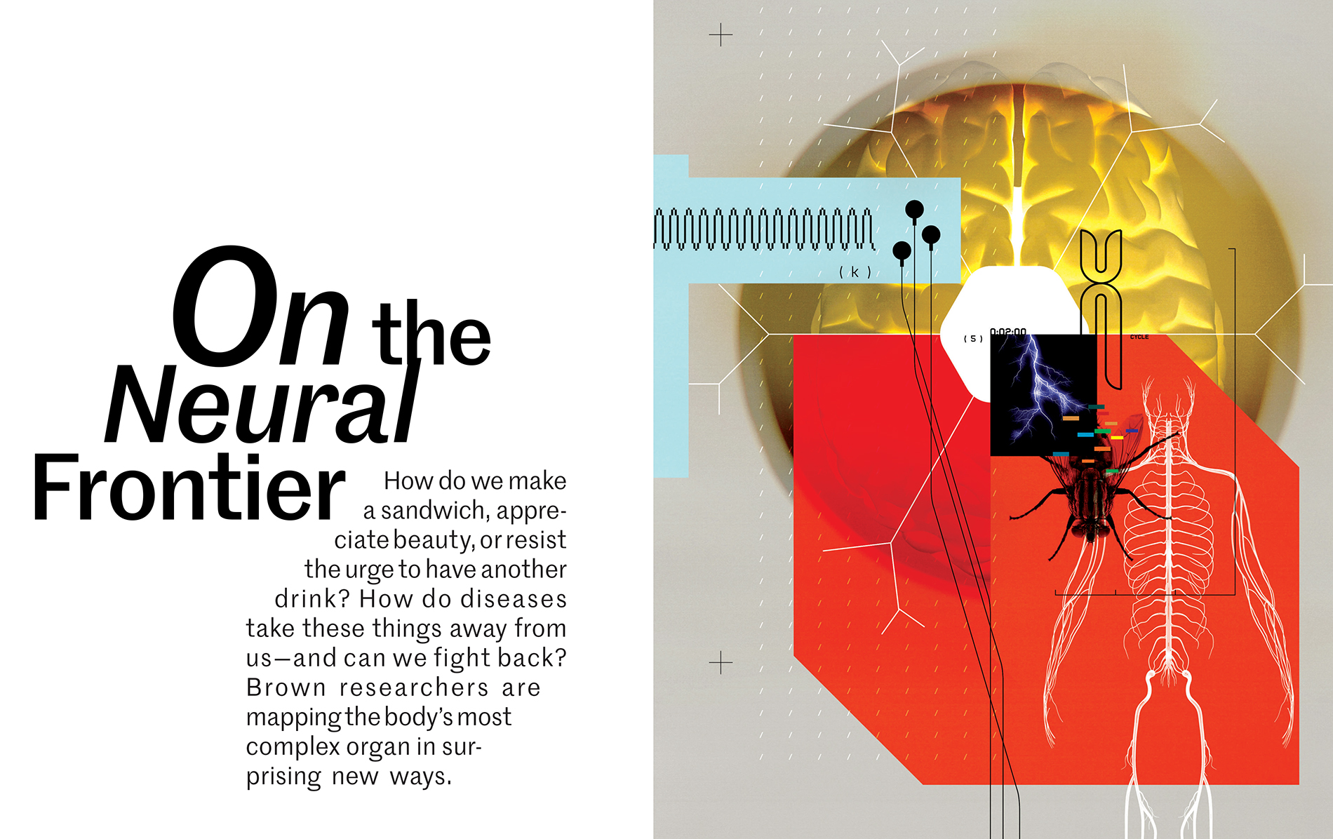 Brain science illo showing a brain, nervous system, dna marker, and a fly